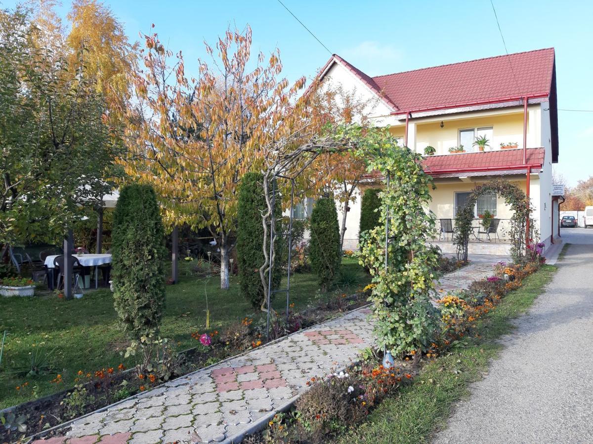 Steaua Nordului Hotell Targu Neamt Eksteriør bilde